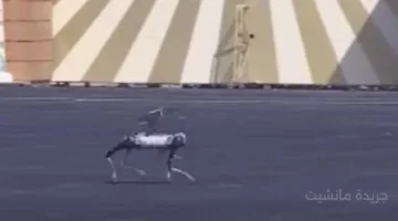 ظهور هو الأول من نوعه.. الكلب الروبوت ينضم للشرطة المصرية لمواجهة الجريمة بلا خسائر 1